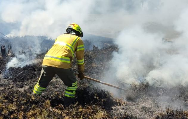 El Planeta Supera 1,5º De Calentamiento En 12 Meses Consecutivos | El ...